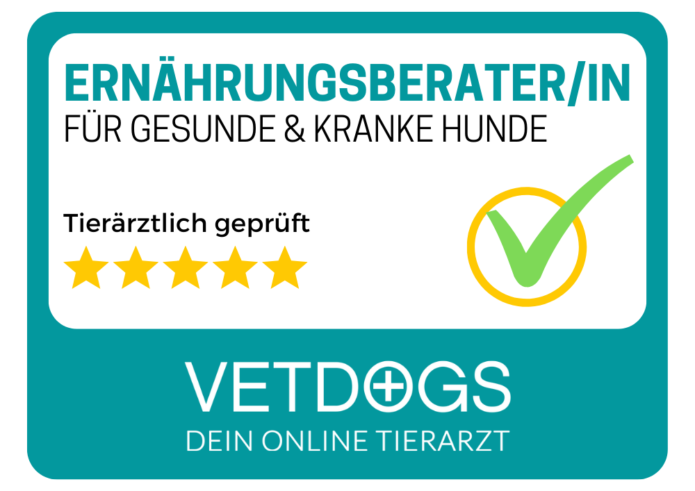 Allergie beim Hund – erkennen, verstehen und richtig handeln